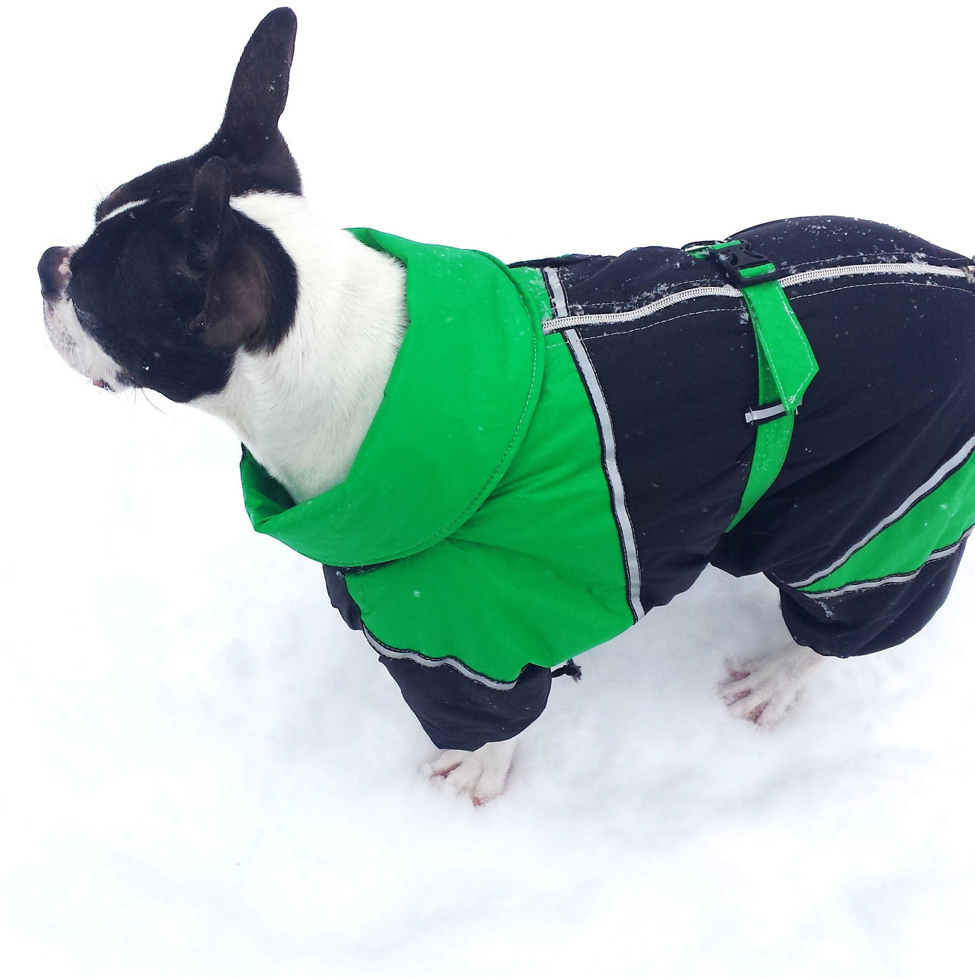 Dog Winter Suit Elegant Custom Fit Dog Winter Clothes Made Snowsuit Winter Full Body