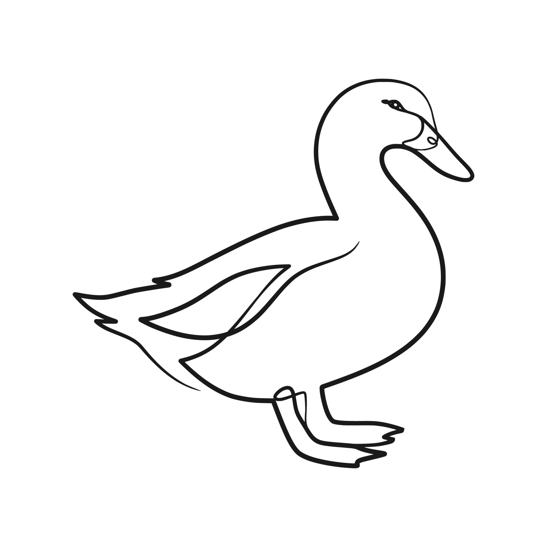 Duck Line Drawing Elegant Duck Continuous Line Art Drawing Vector Art at Vecteezy