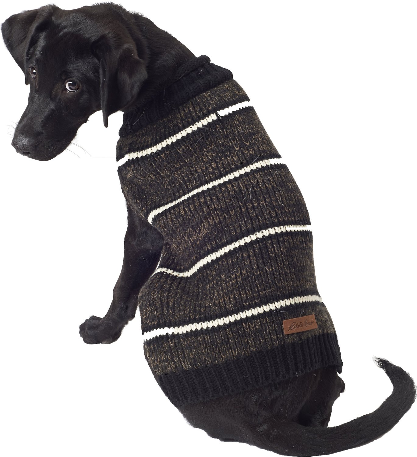 Eddie Bauer Dog Apparel Elegant Ed Bauer Marled Striped Dog Sweater Medium Spice &amp; Carbon Chewy