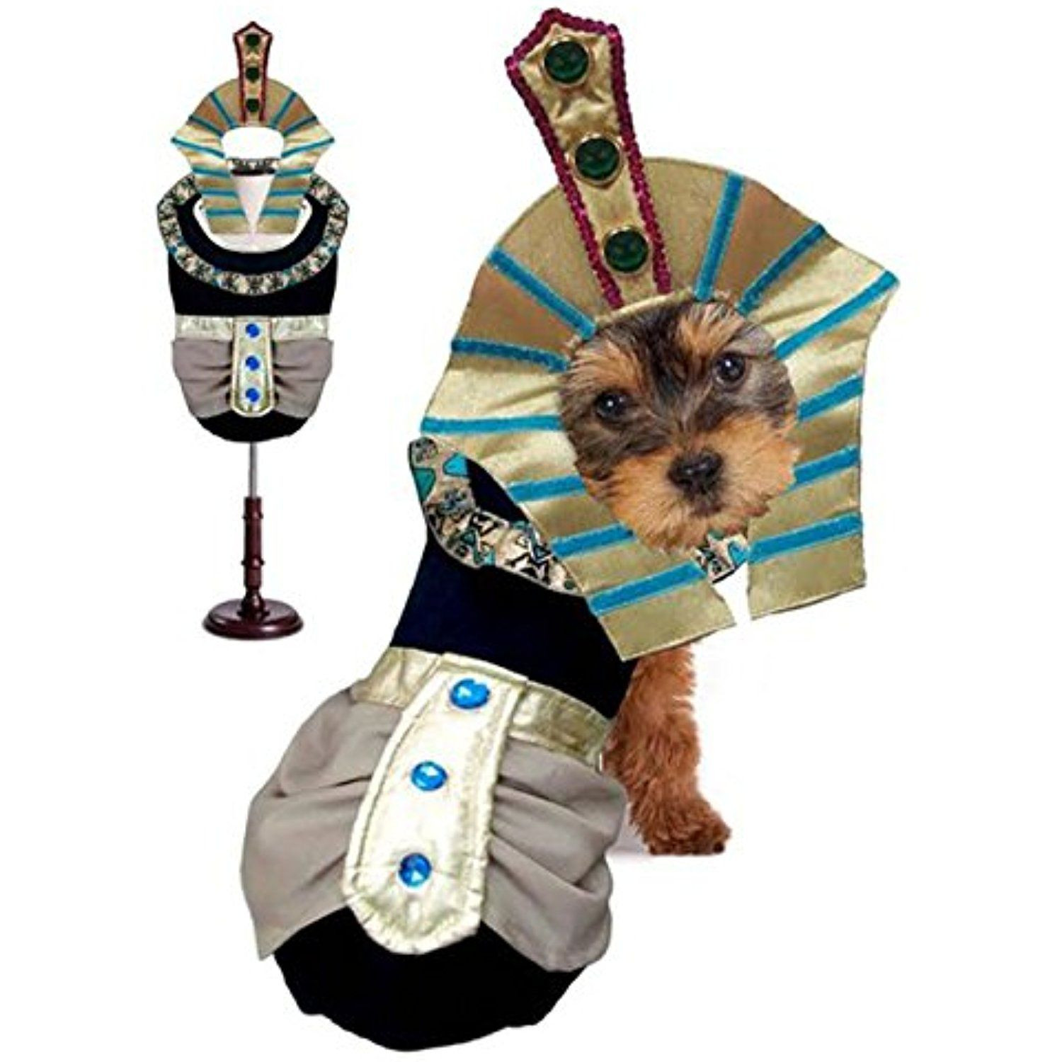 Egyptian Dog Costume Fresh King Tut Dog Costumes Egyptian Halloween Costumes for Dogs Dog