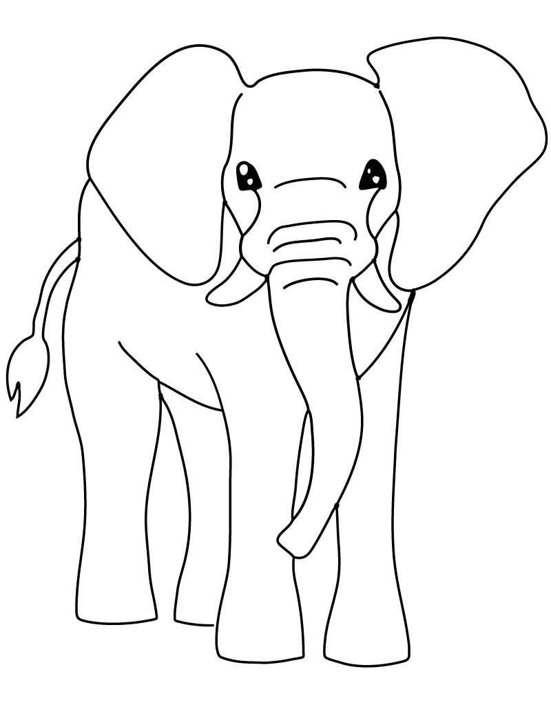 Elephant Drawing and Colouring Best Of Free Printable Elephant Coloring Pages for Kids