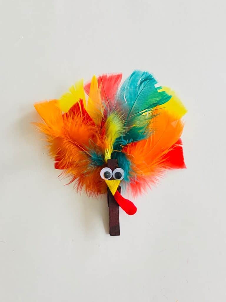 Feathers for Turkey Craft Lovely Clothespin Turkey with Feathers Thanksgiving Kids Craft