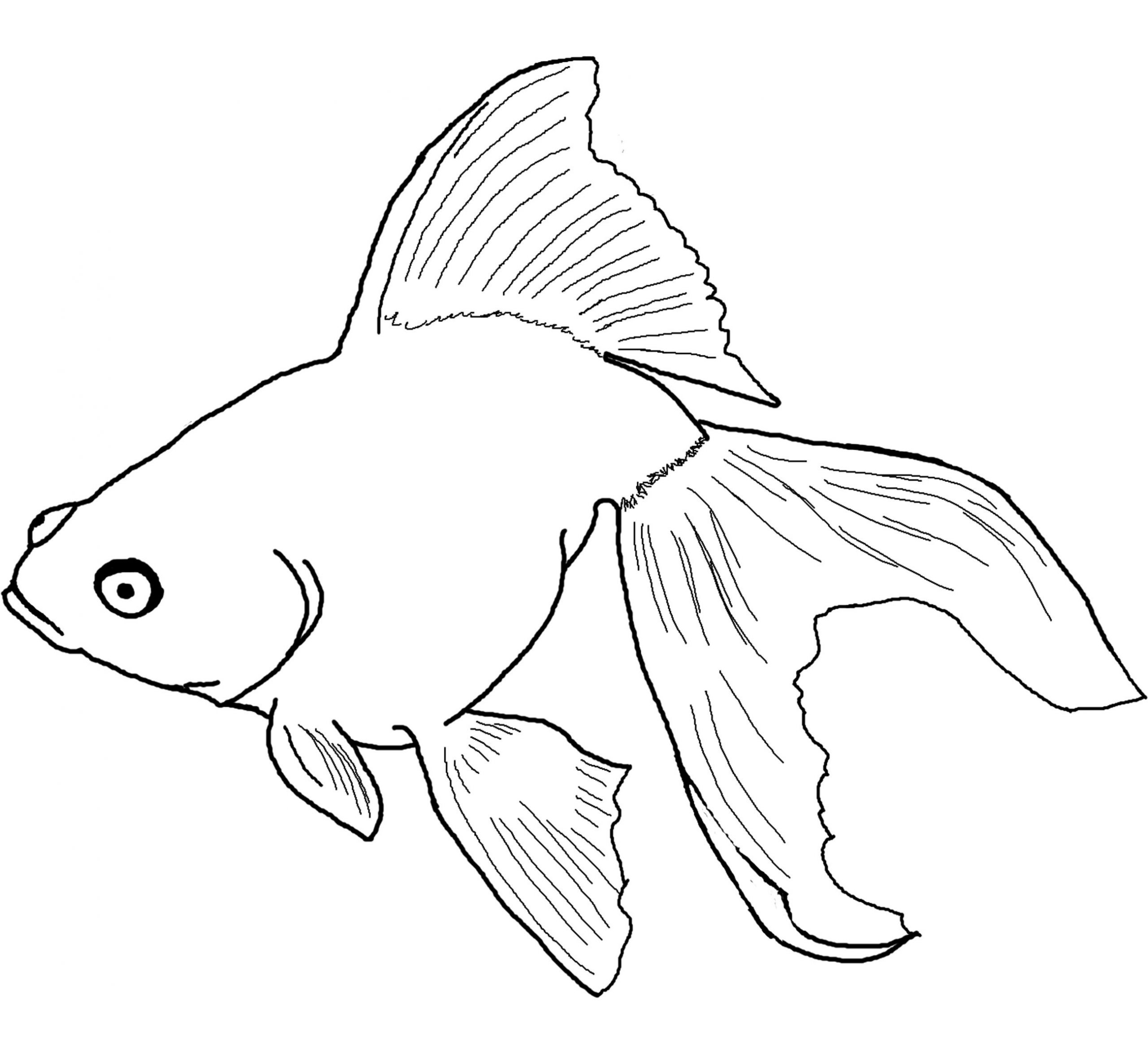 Fish Coloring Page Free Awesome Free Printable Fish Coloring Pages for Kids