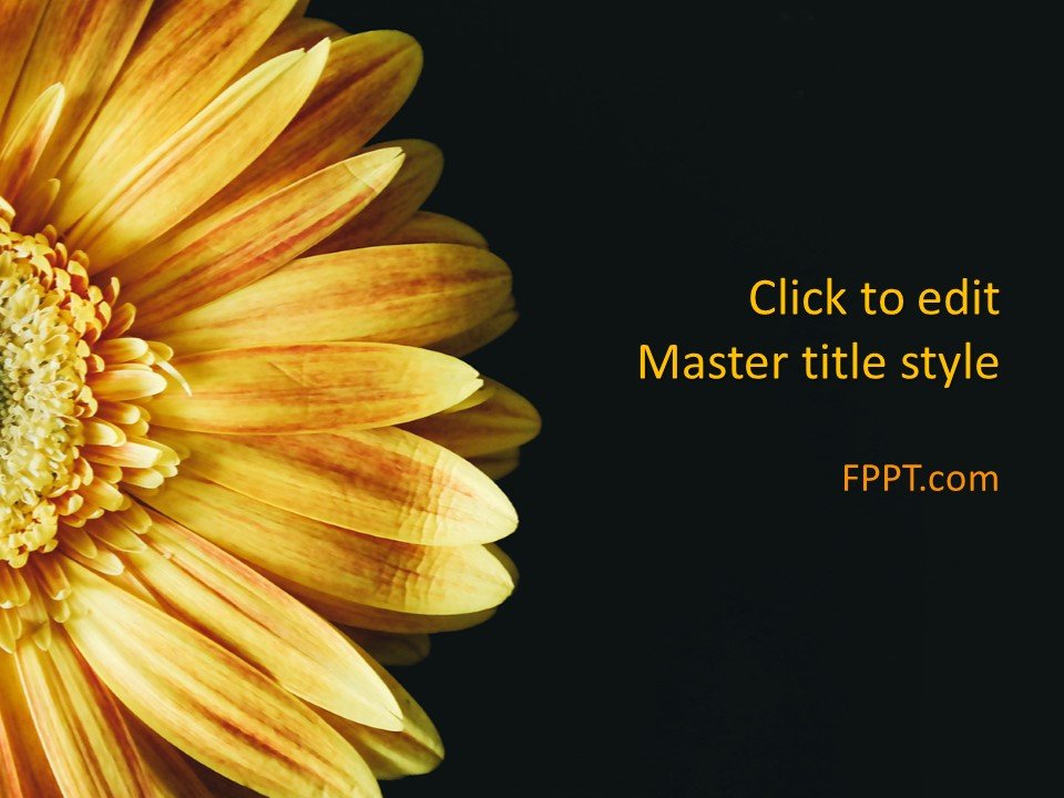 Flower Powerpoint Templates Beautiful Free Flower Powerpoint Template Free Powerpoint Templates