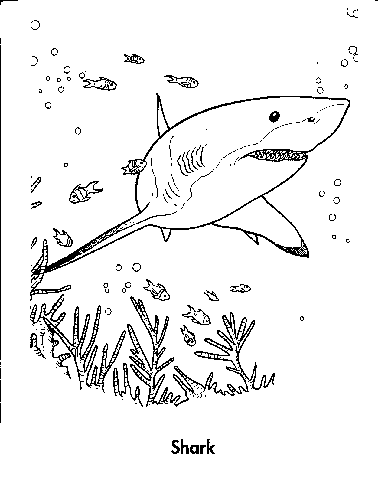 Free Shark Coloring Pages Unique Free Printable Shark Coloring Pages for Kids