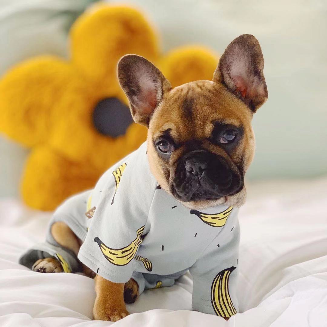 French Bull Dog Pjs Elegant French Bulldog Puppies Esie Pajamas Dog Clothes Pajamas