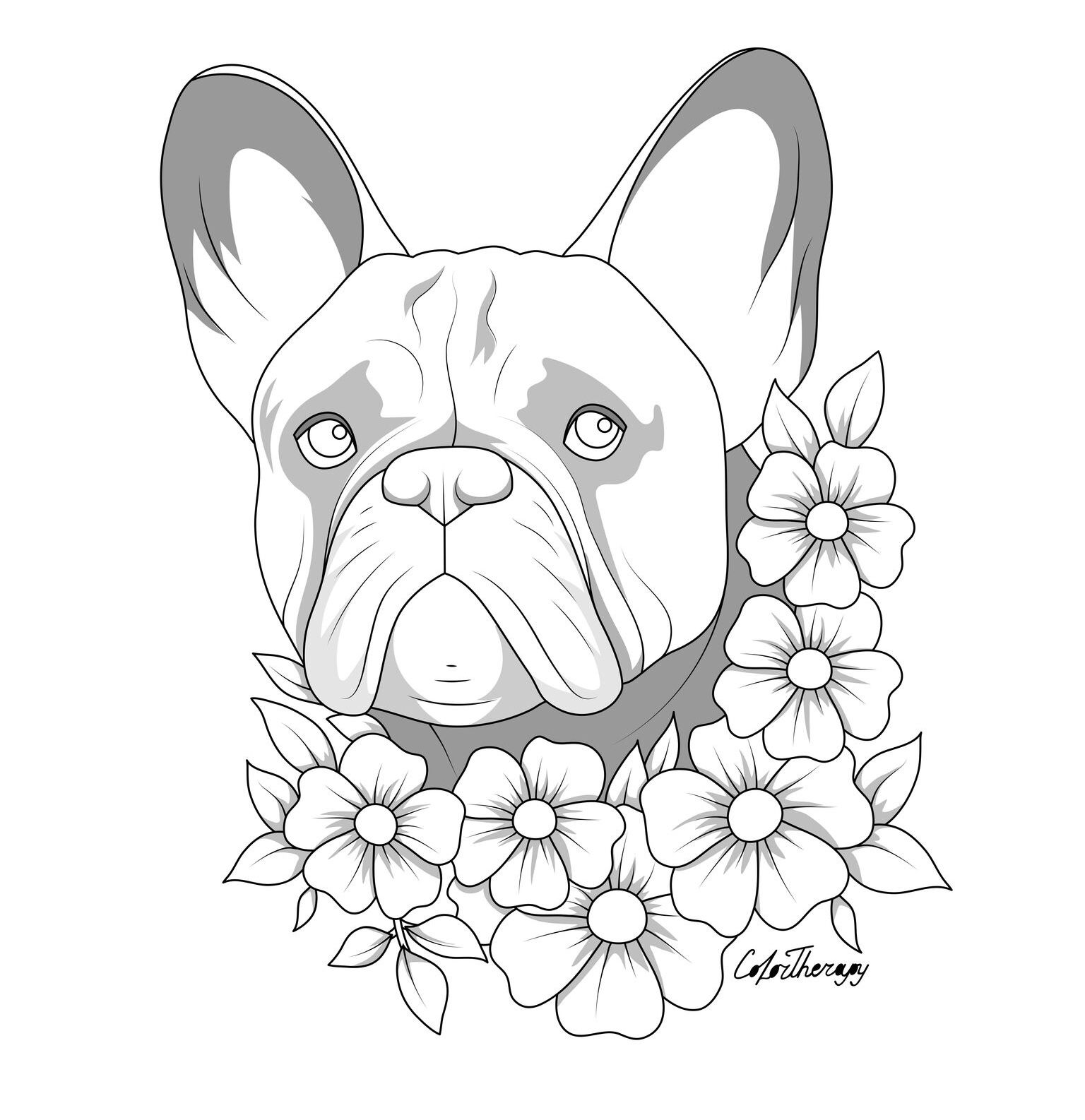 French Bulldog Coloring Pages Unique French Bulldog Coloring Pages Easy thekidsworksheet