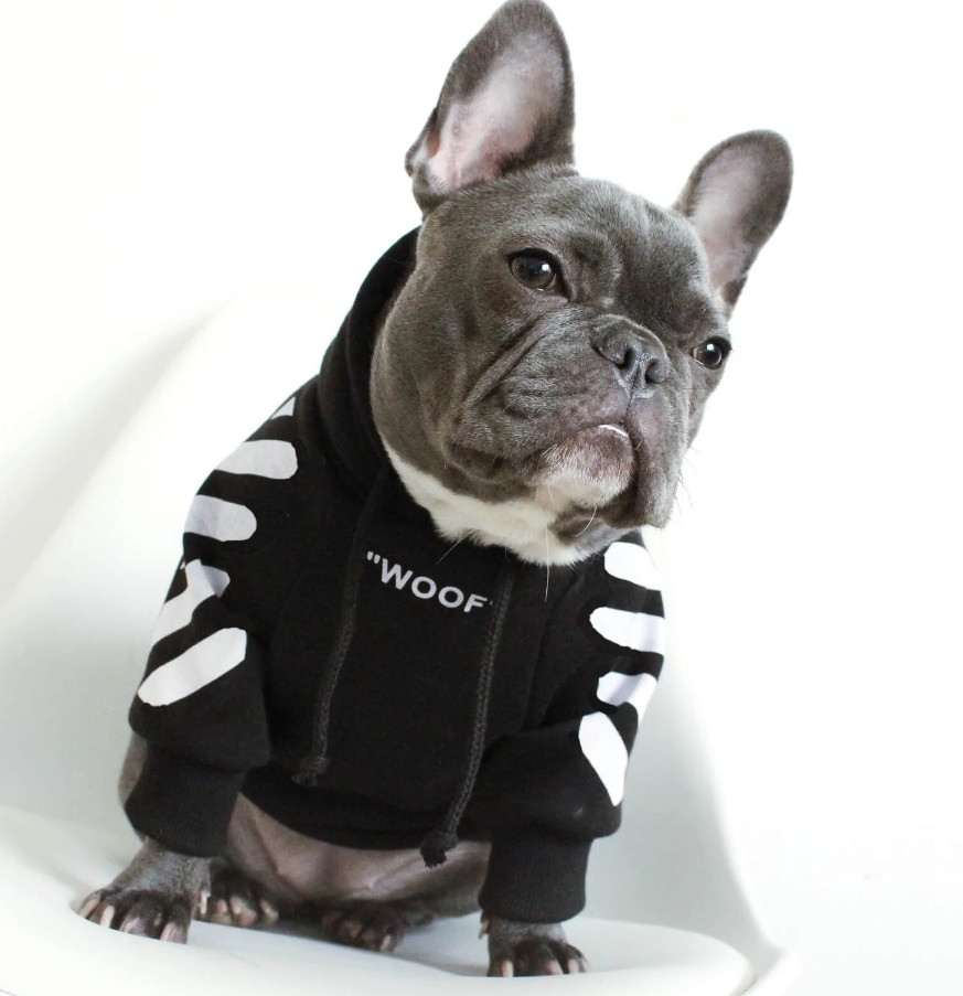 French Bulldog with Hoodie Awesome &quot;woof&quot; Dog Hoo for Frenchies with attitude 3 Colors ask Frankie