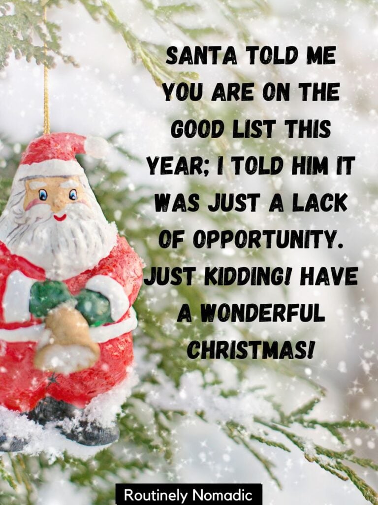 Funny Merry Christmas Wishes Fresh Funny Christmas Wishes 150 Funny Christmas Greetings for 2023