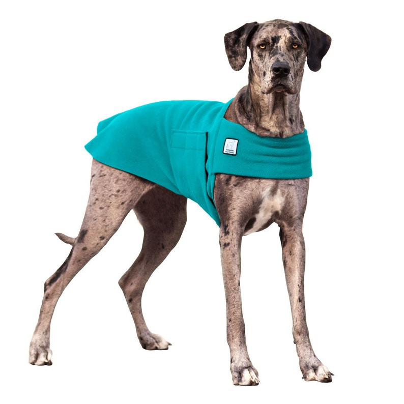 Great Dane Dog Sweater Beautiful Great Dane Tummy Warmer Fleece Dog Coat Sweater for Dogs