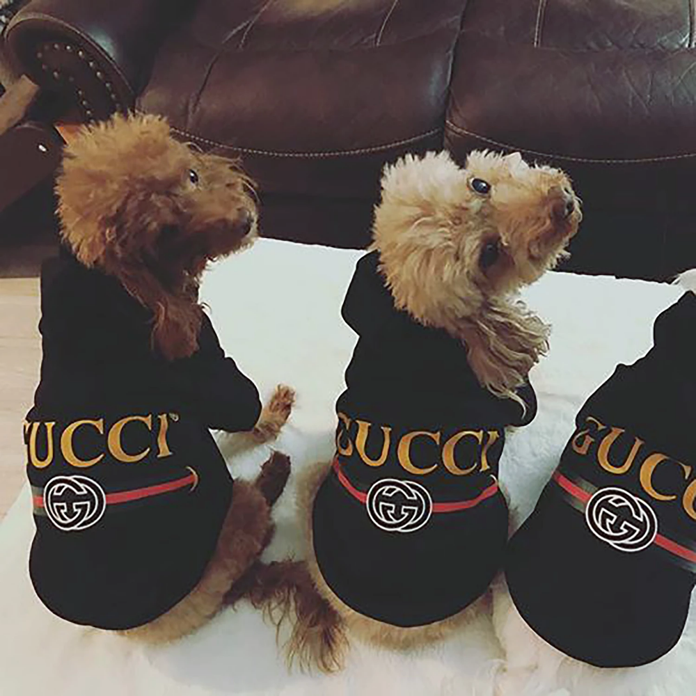 Gucci Hoodie with Dog Luxury Classic Gucci Logo Dog Hoo – Dripsondeck Pet Wear