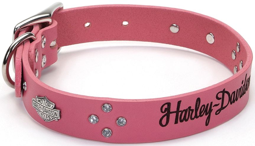 Harley Dog Collar Unique Harley Davidson Dog Collar Harley Davidson