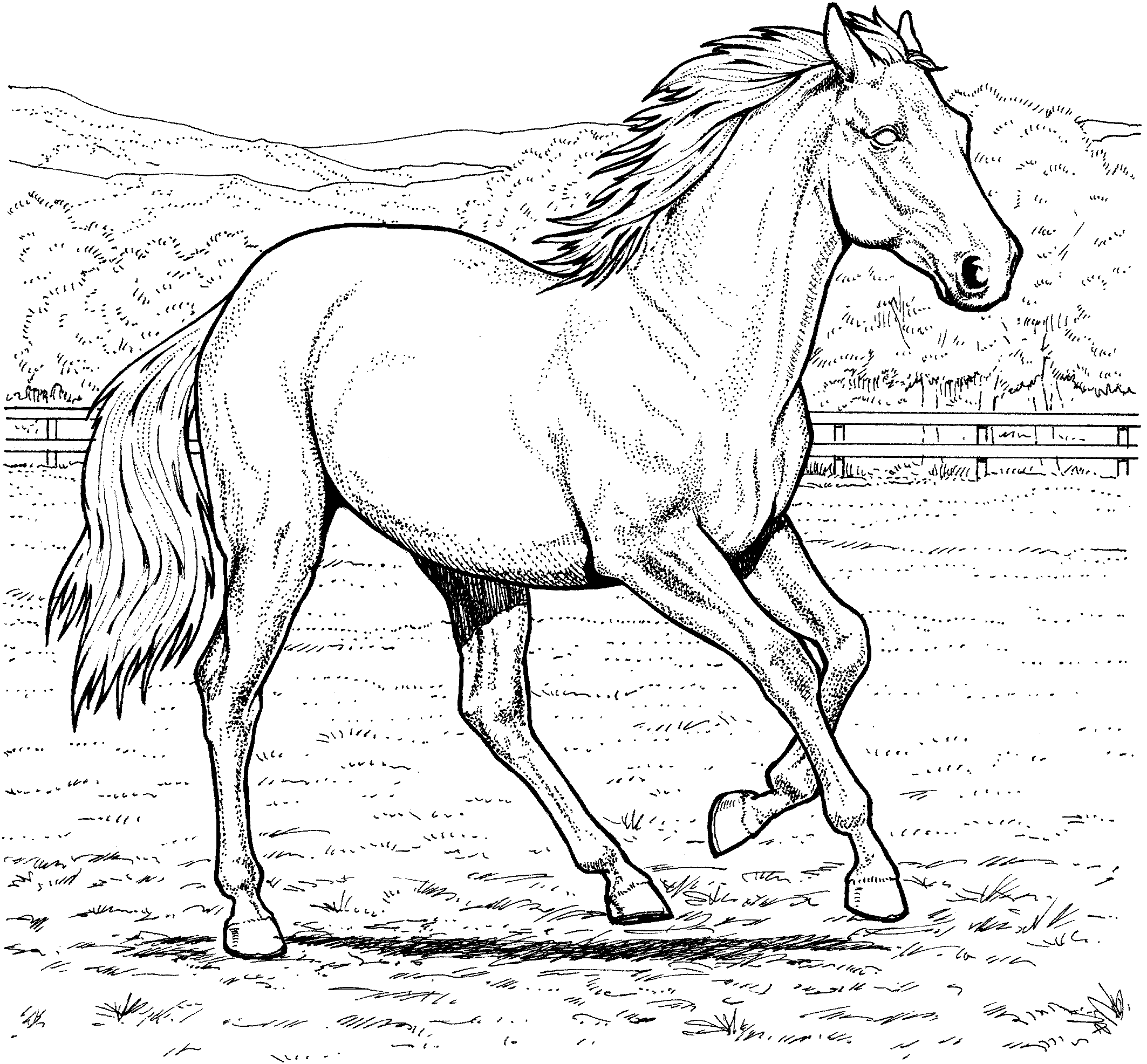 Horse Coloring Pages Luxury Free Printable Horse Coloring Pages for Kids