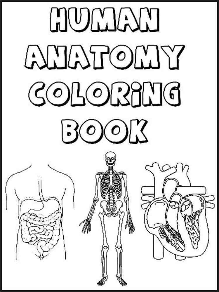 Human Anatomy Coloring Book Inspirational Human Body Coloring Pages