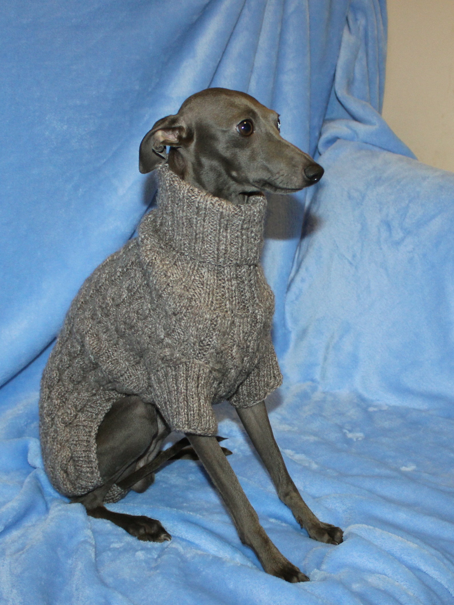 Italian Greyhound Sweater Unique Wool Italian Greyhound Sweater Italian Greyhound Clothing