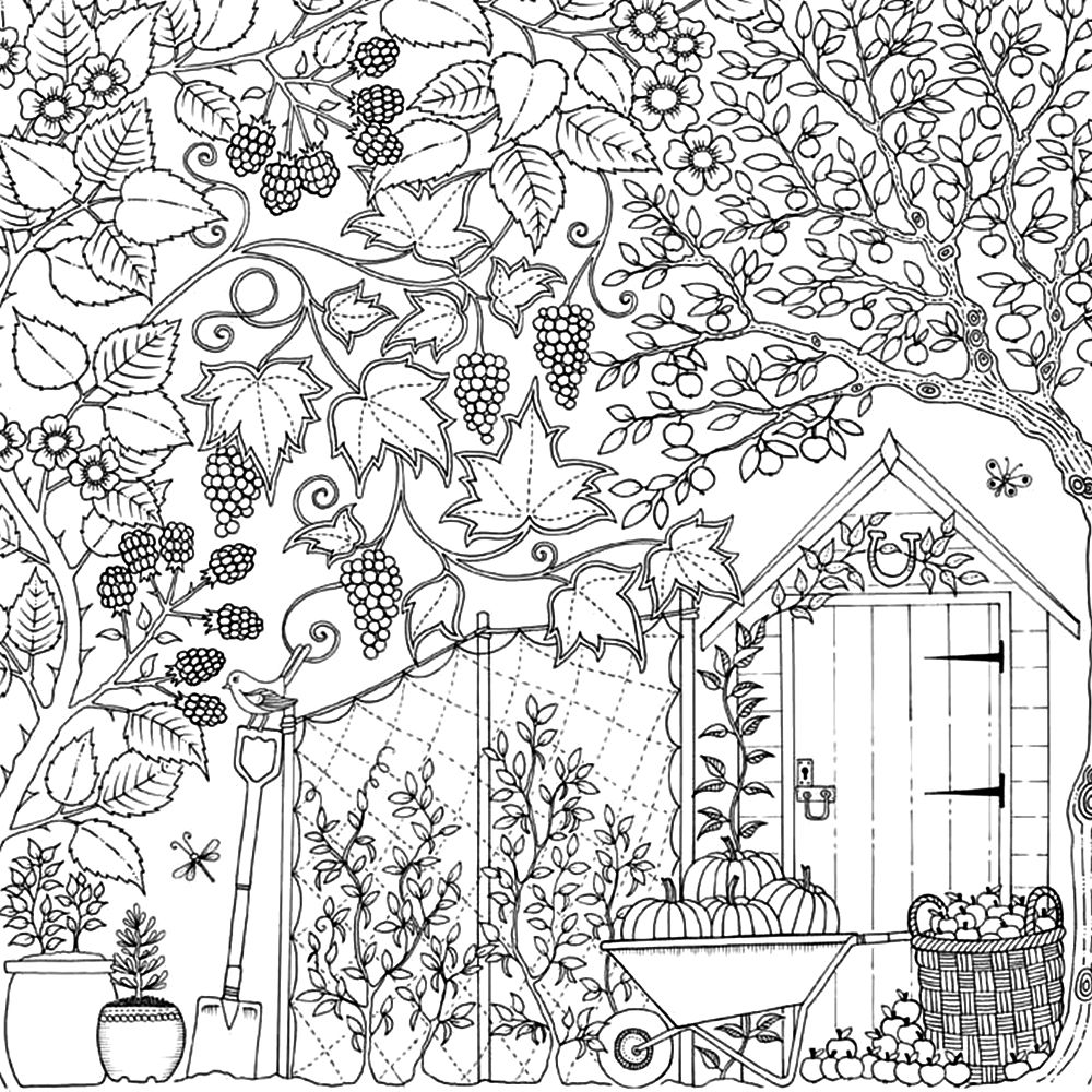 Johanna Basford Coloring Pages Fresh ️johanna Basford Coloring Pages Free Download Gambr