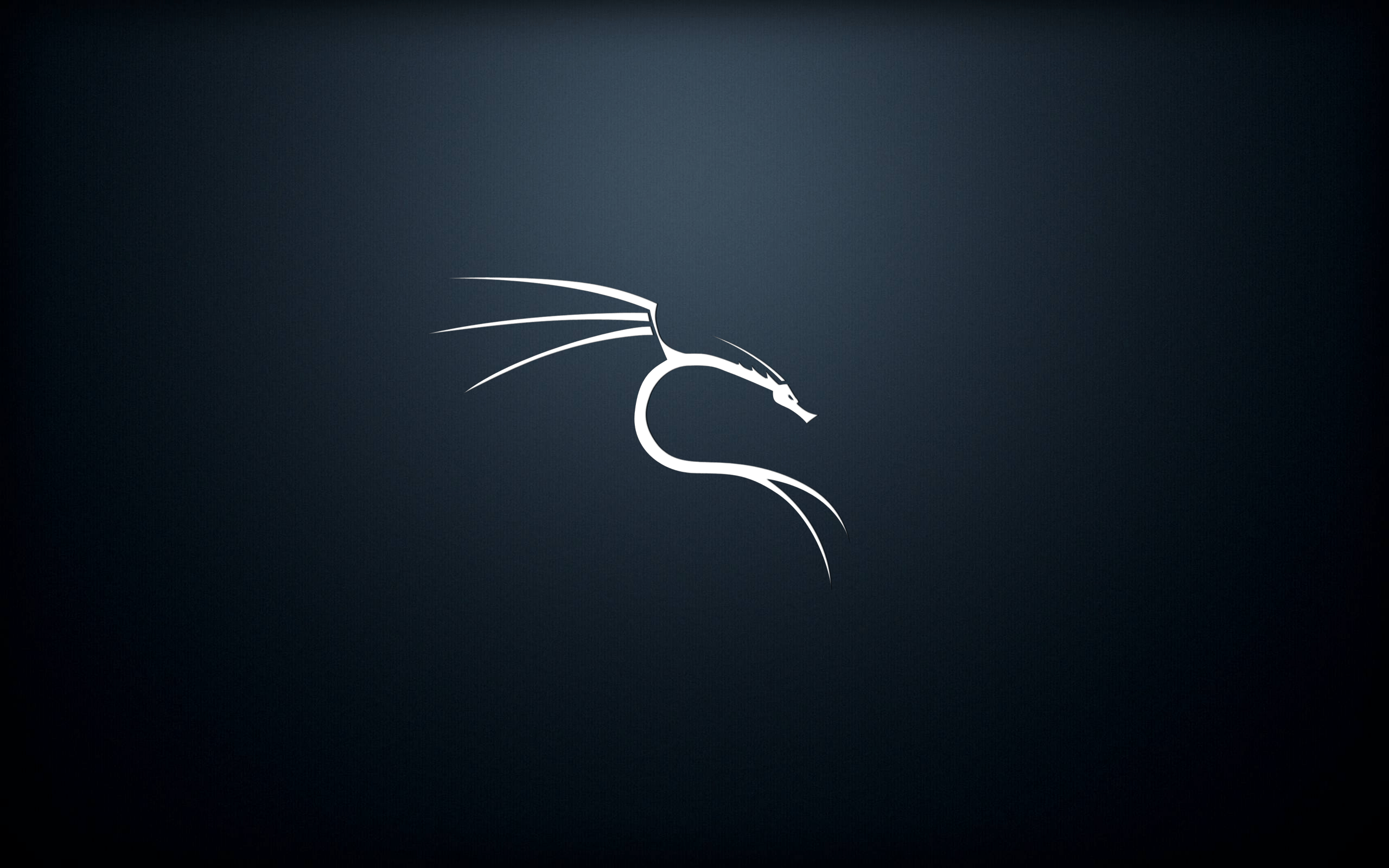 Kali Linux Background Awesome Kali Linux Wallpapers Wallpaper Cave