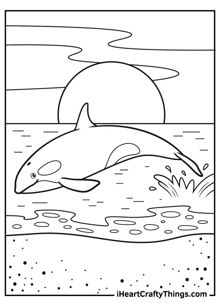 Killer Whale Coloring Page Inspirational Killer Whale Coloring Pages Free Printables