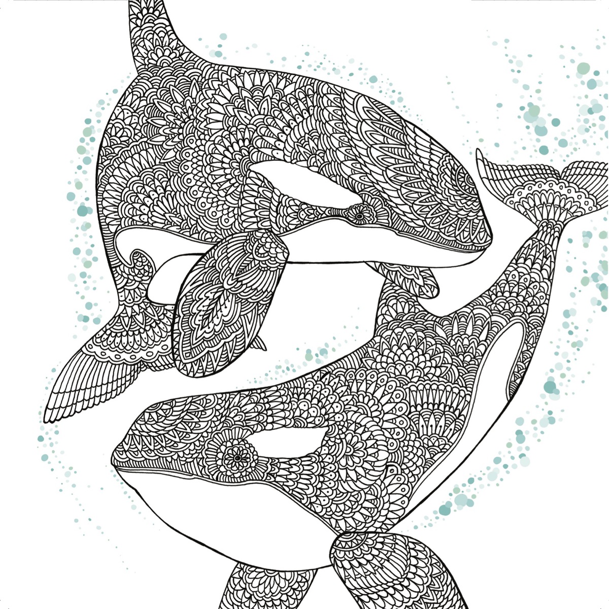 Orca Coloring Page Inspirational orca Whale Free Adult Coloring Book Page Craftfoxes