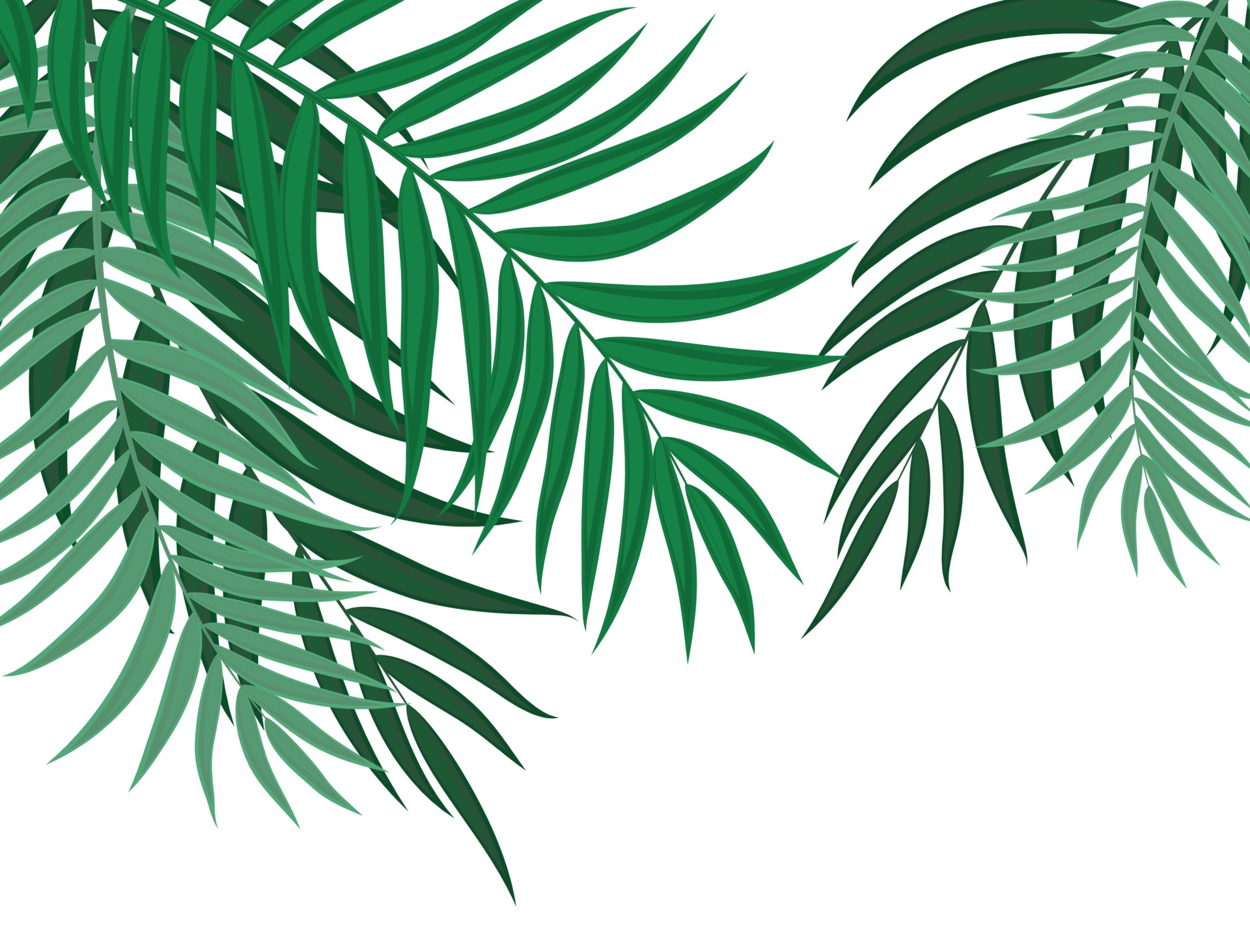 Palm Leaf Vector Inspirational Palm Leaves Vector Art Icons and Graphics for Free Download