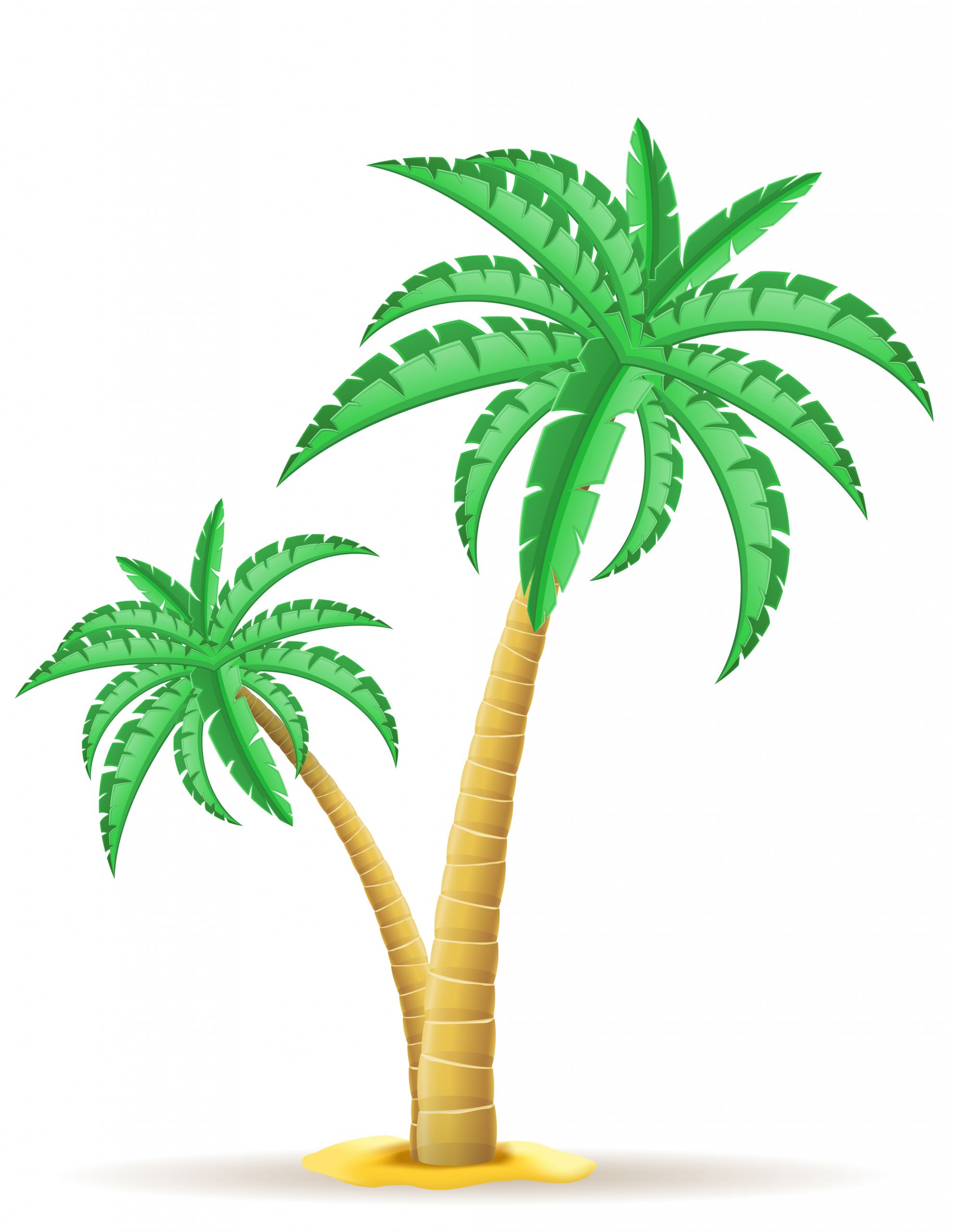 Palm Tree Vector Lovely Palm Tree Vector Illustration Vector Art at Vecteezy