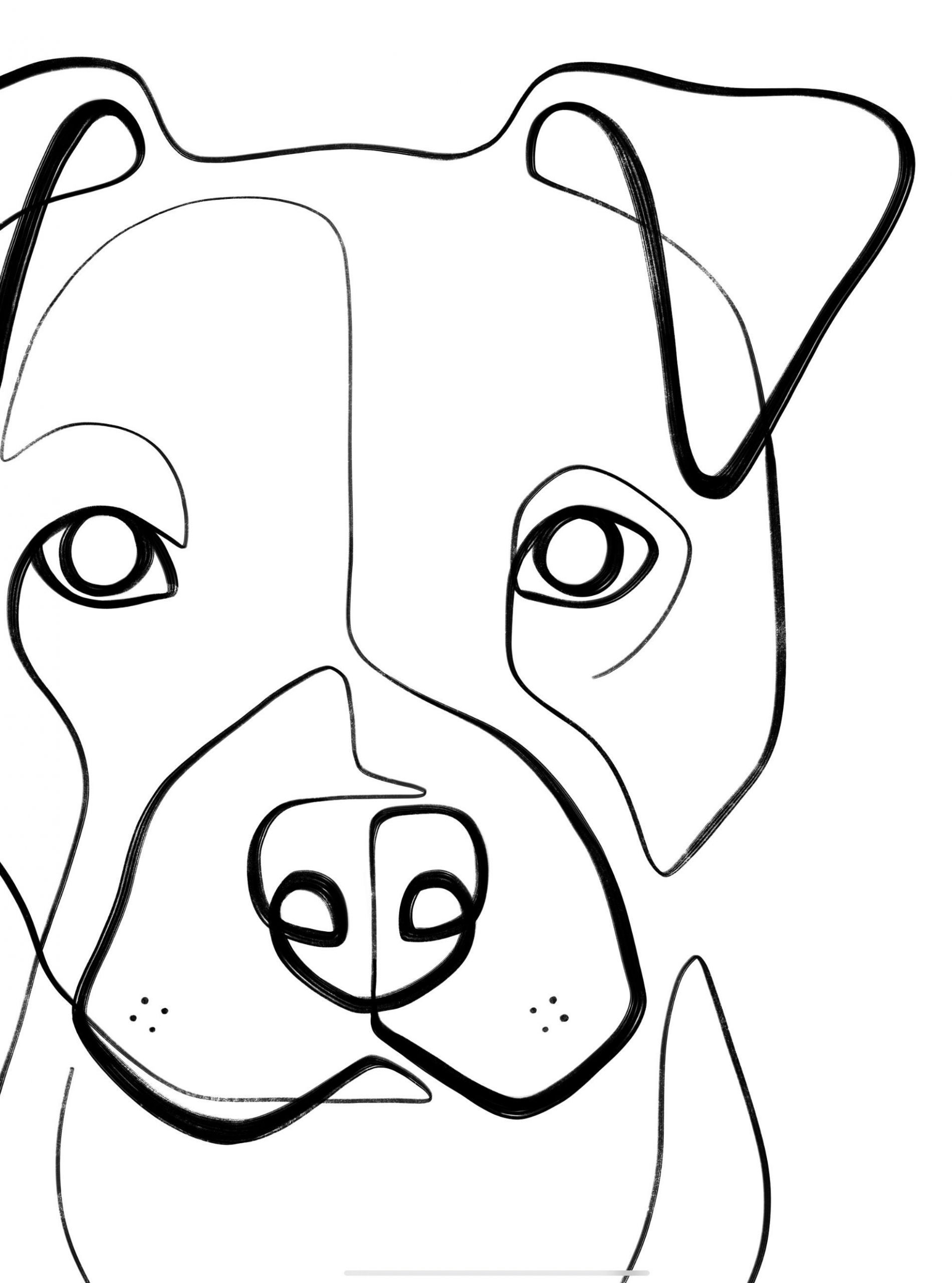 Pitbull Line Drawing Beautiful How to Draw A Pitbull Step by Step