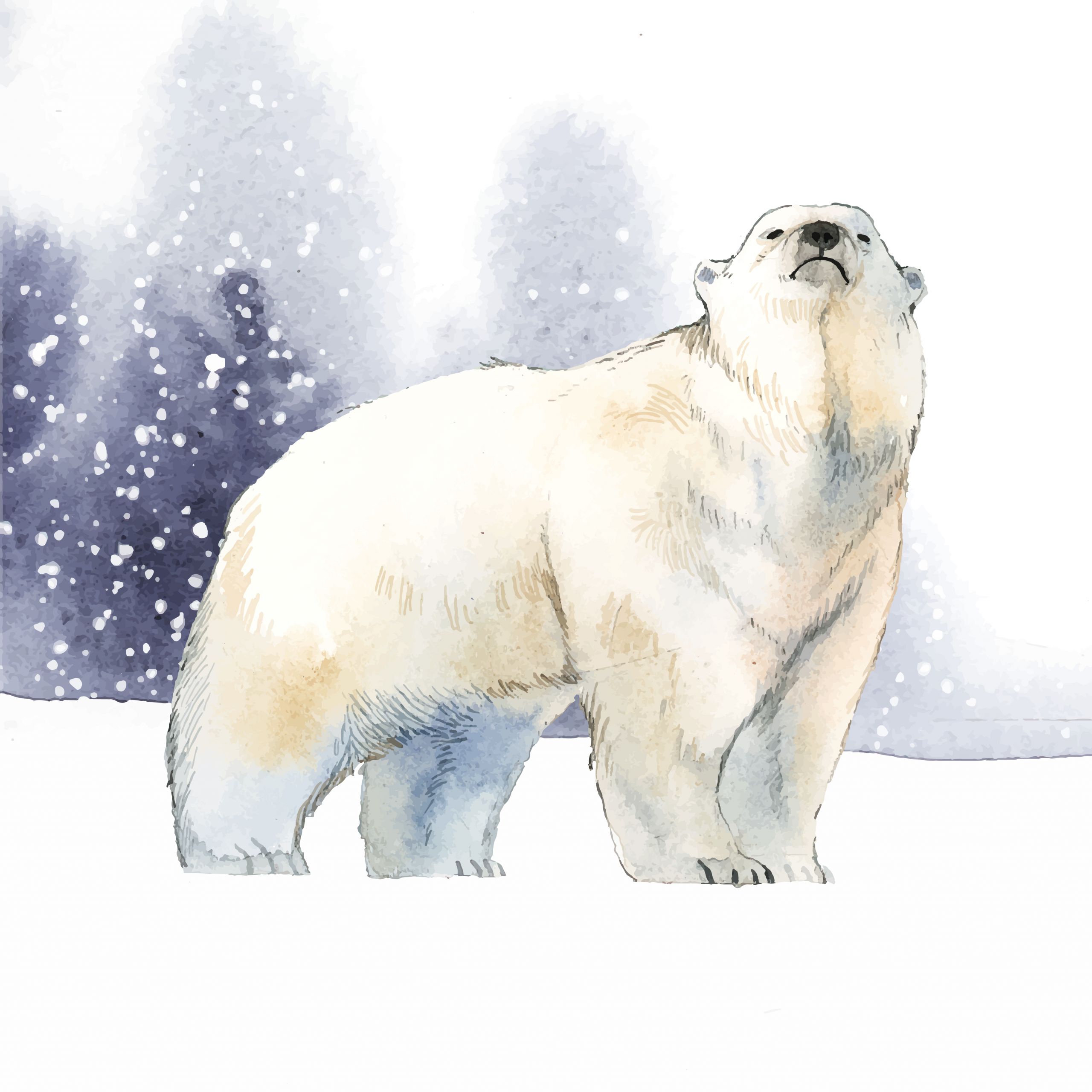 Polar Bear Illustration Luxury Hand Drawn Polar Bear In the Snow Watercolor Style Vector Download