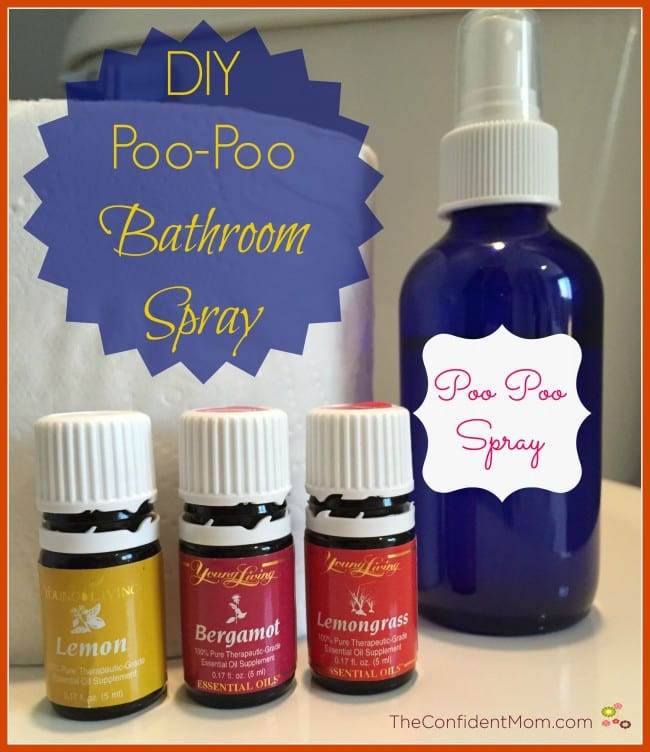 Poo Spray Diy Elegant Diy Poo Poo Bathroom Spray