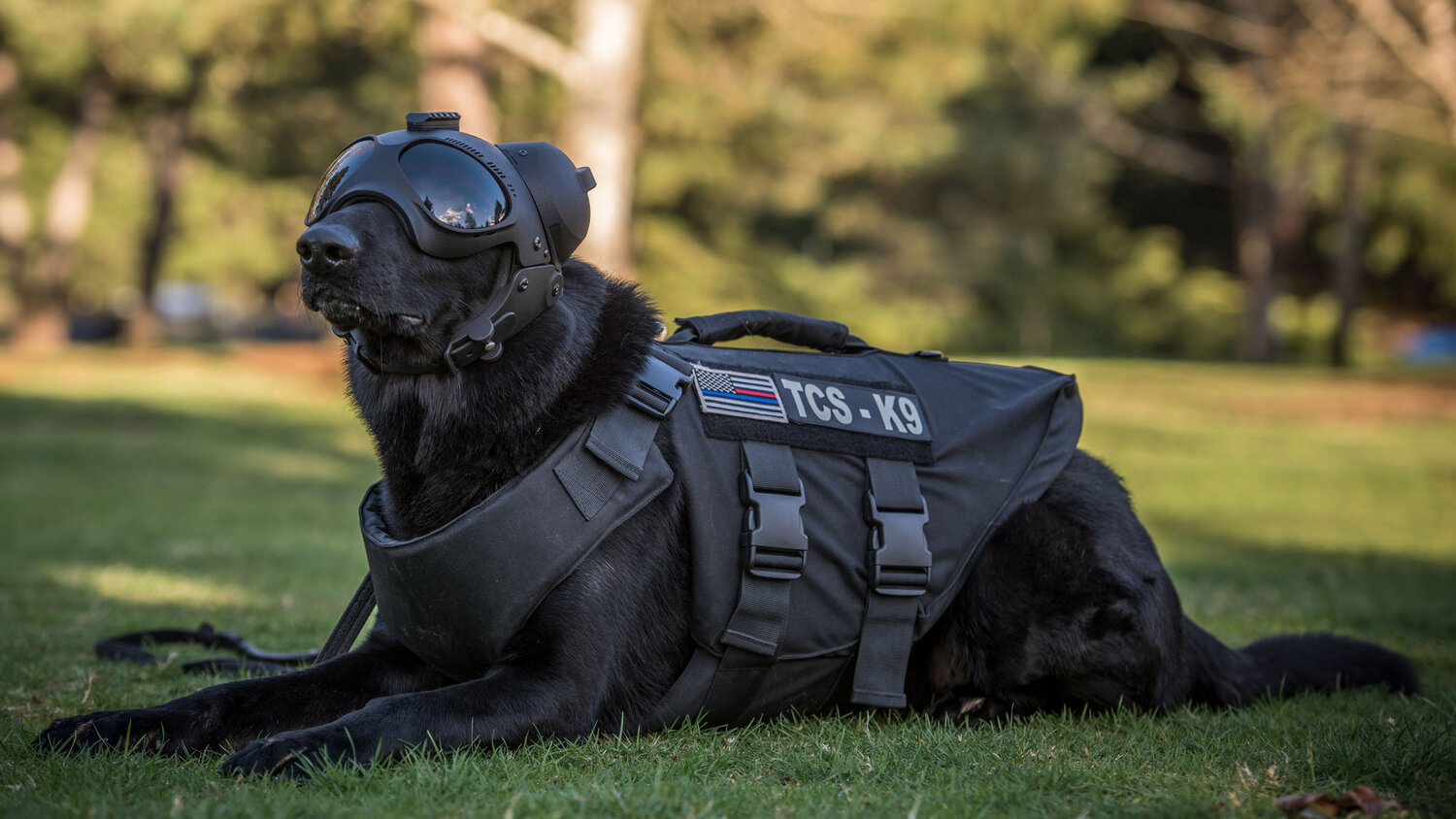 Protection Dog Gear Awesome How Bulletproof Vests Can Protect Your Protection Dog — Tactical K9