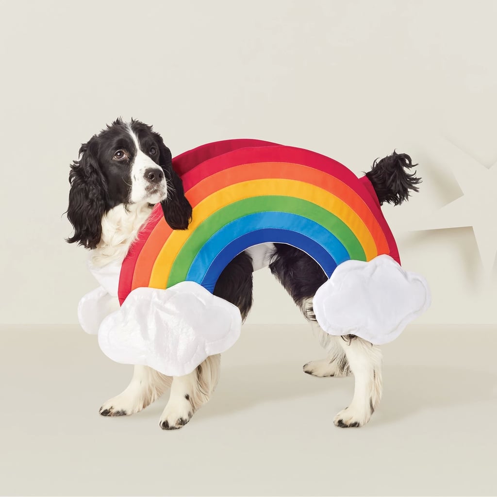 Rainbow Dog Costume Lovely Rainbow Dog Costume