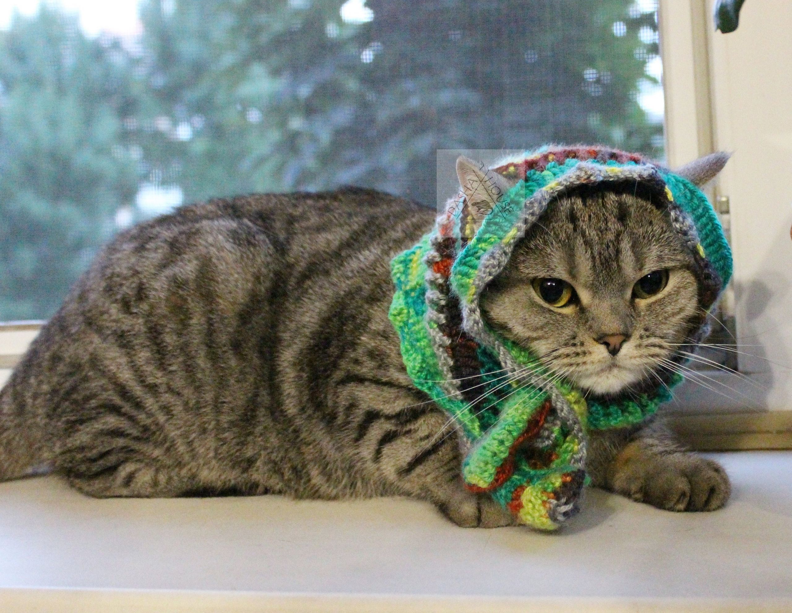 Scarf for A Cat Fresh Babushka Scarf Cat Crochet Pattern Shawl Wrap for Cat Small Etsy