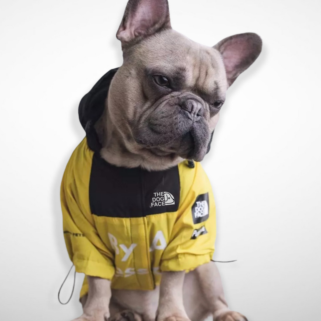 The Dog Face Jacket Awesome the Dog Face Jacket Yellow