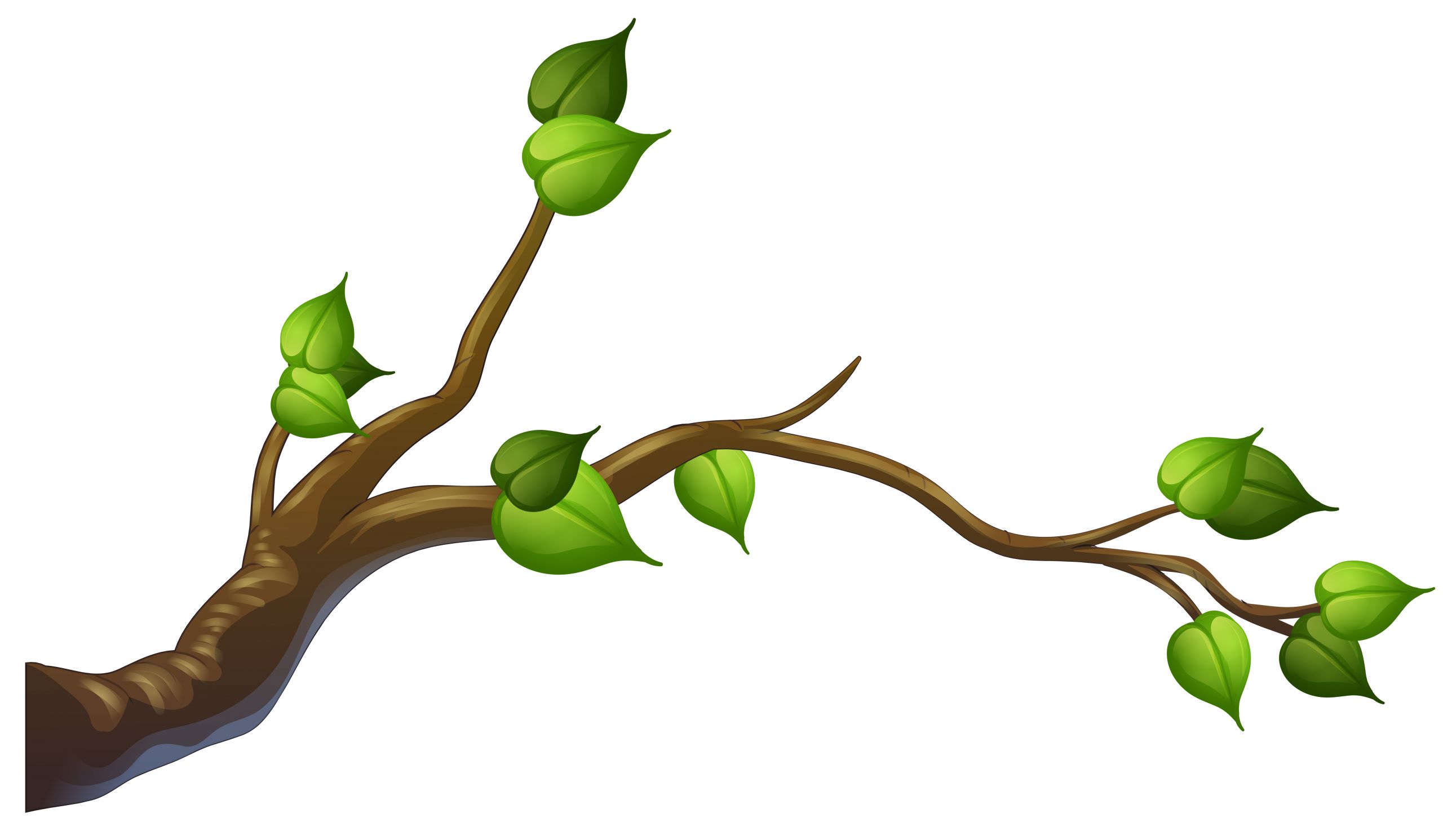 Tree Clipart Branches Luxury Tree Branch Vector Art Icons and Graphics for Free Download