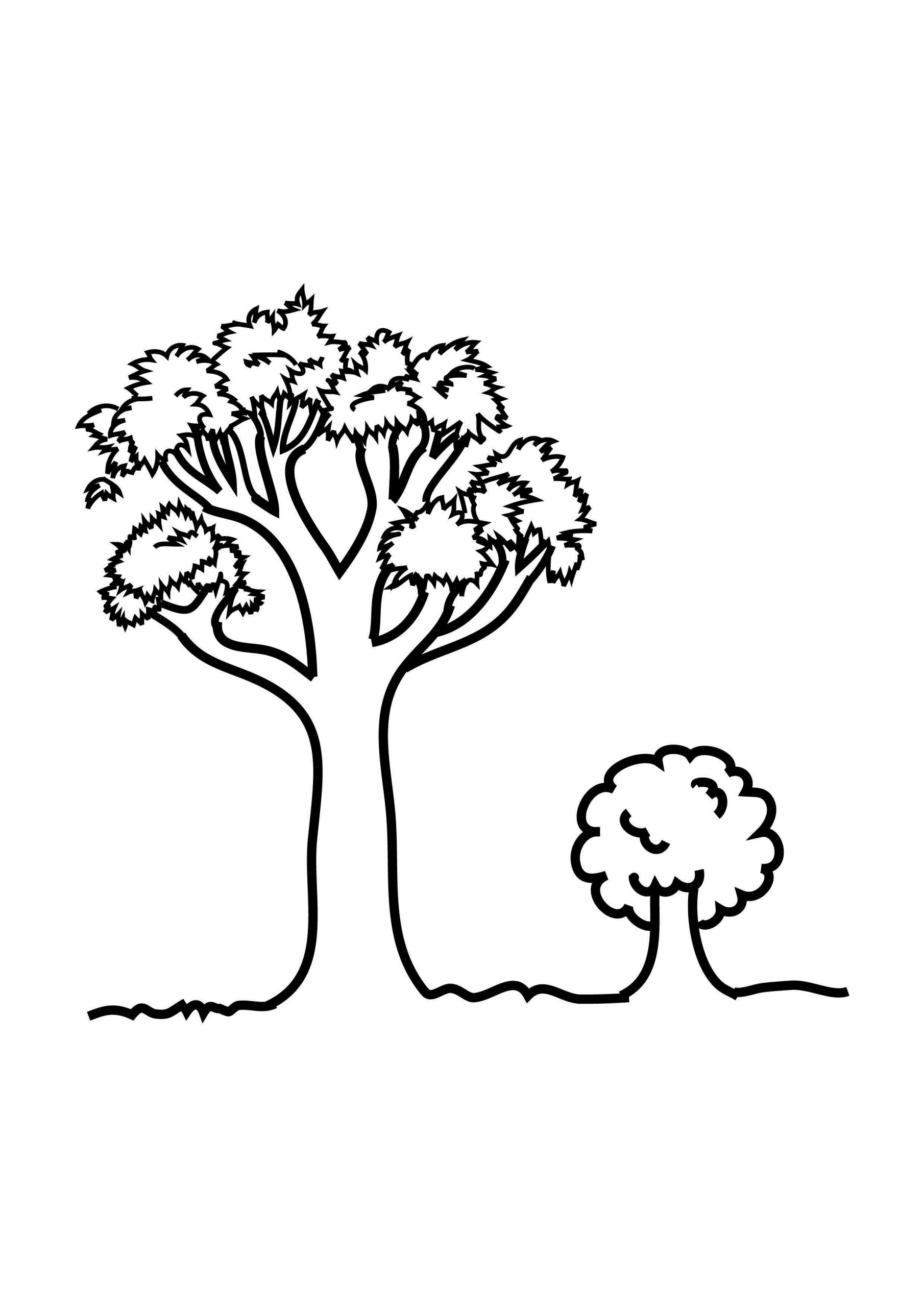 Tree Color Sheet Lovely Free Printable Tree Coloring Pages for Kids