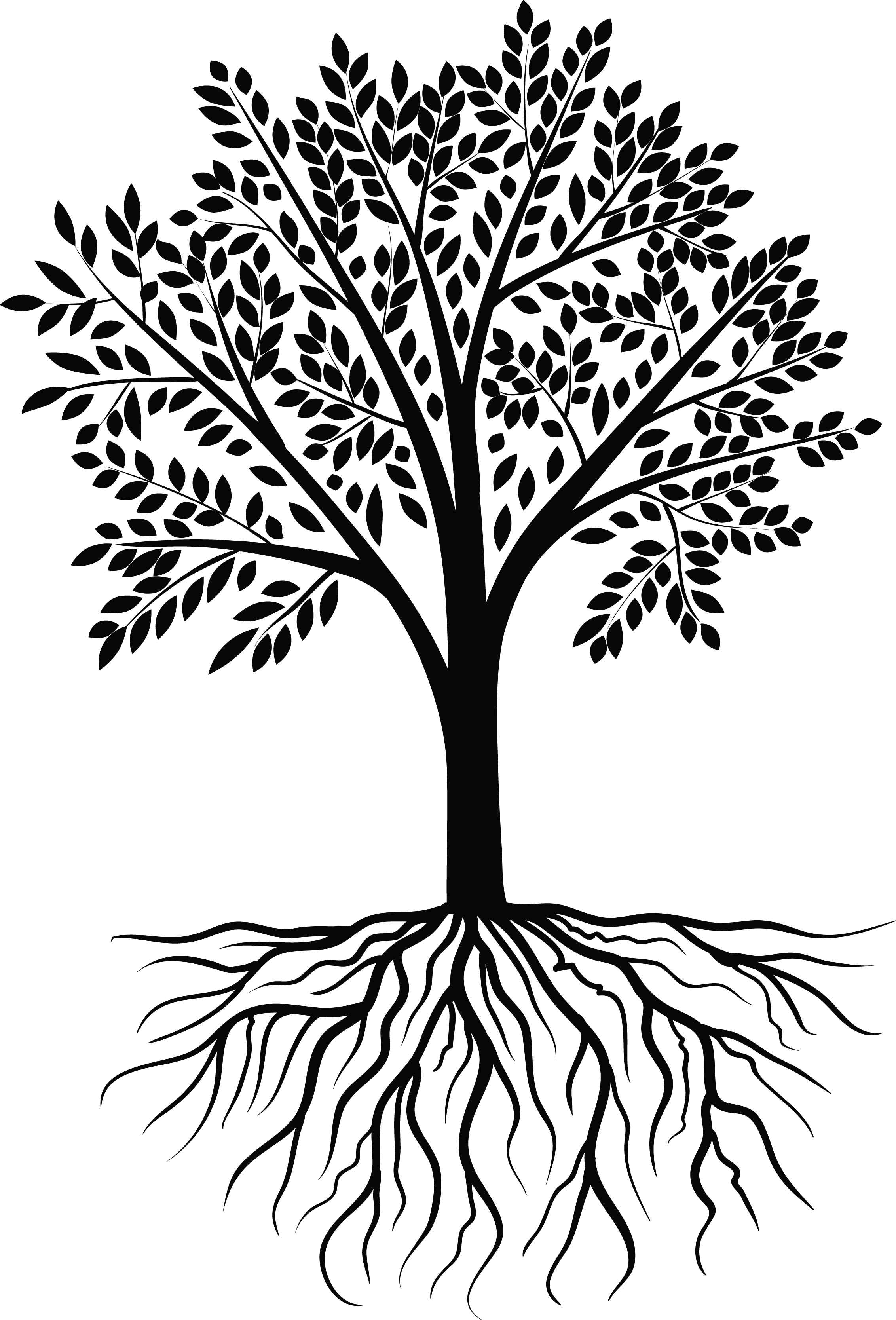 Tree Vector Png New Tree Png Vector Transparent Tree Vector Png