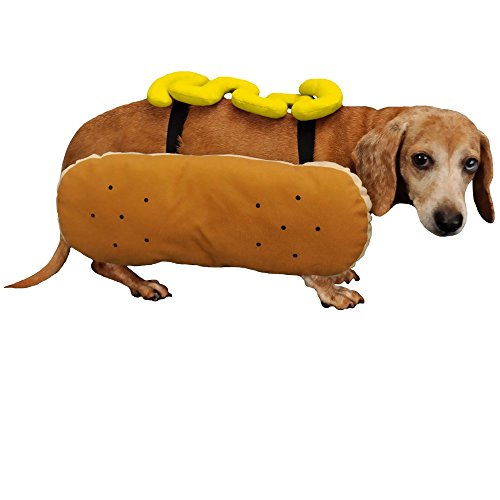 Wiener Dog Costume for Humans Luxury I Tested and Ranked the Best Wiener Dog Costume for Humans In 2024 and