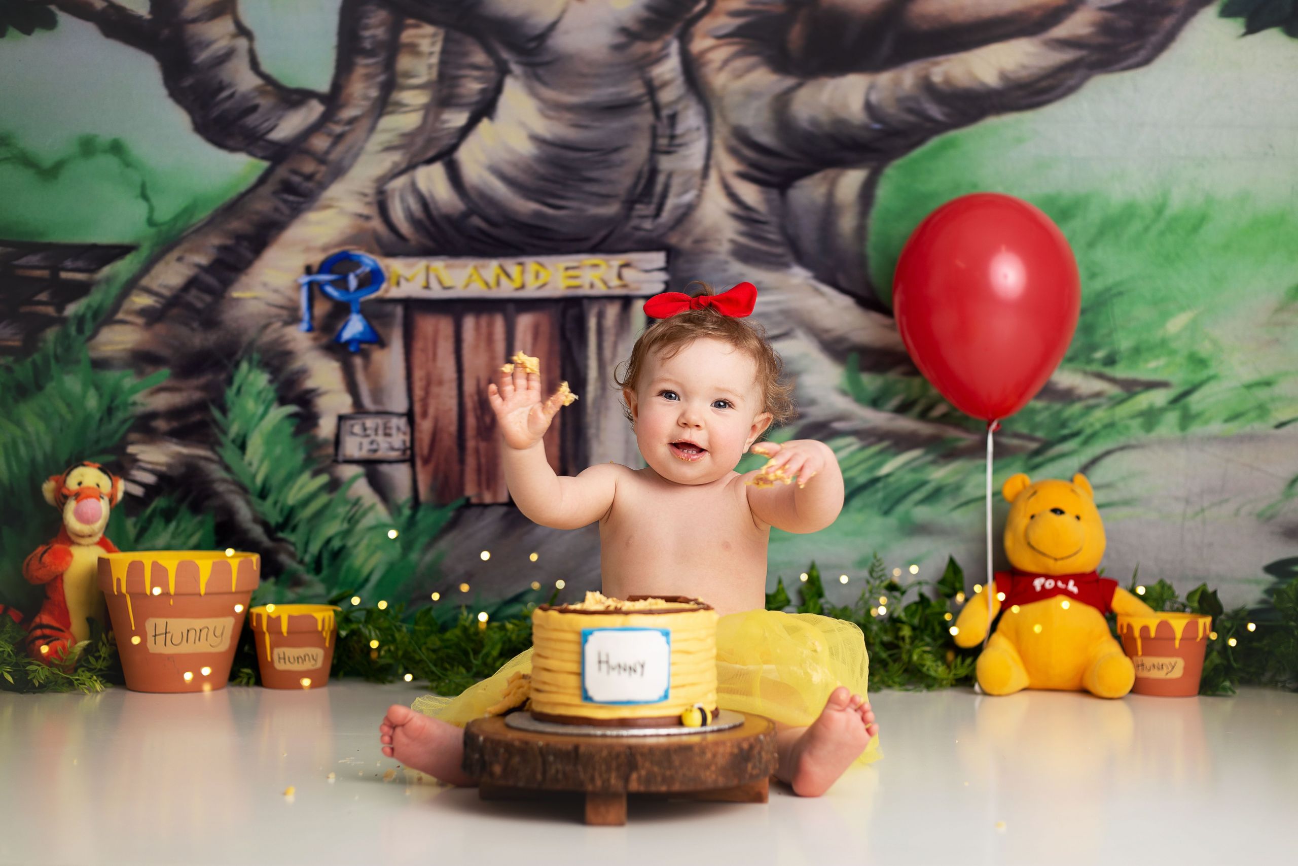 Winnie the Pooh Smash Cake Luxury Winnie the Pooh Cake Smash theme In 2021