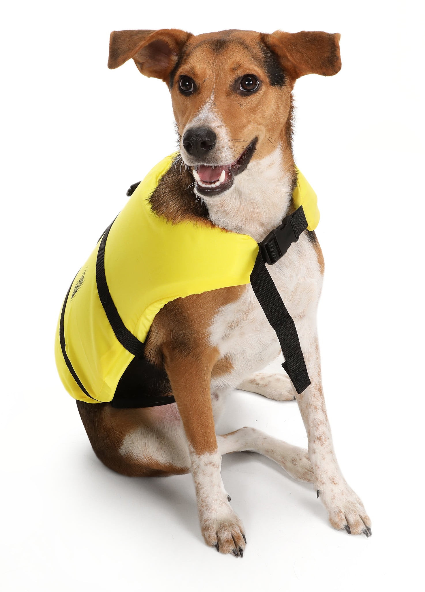 Xxs Dog Life Jackets New Seachoice Dog Life Vest Adjustable Life Jacket for Dogs with