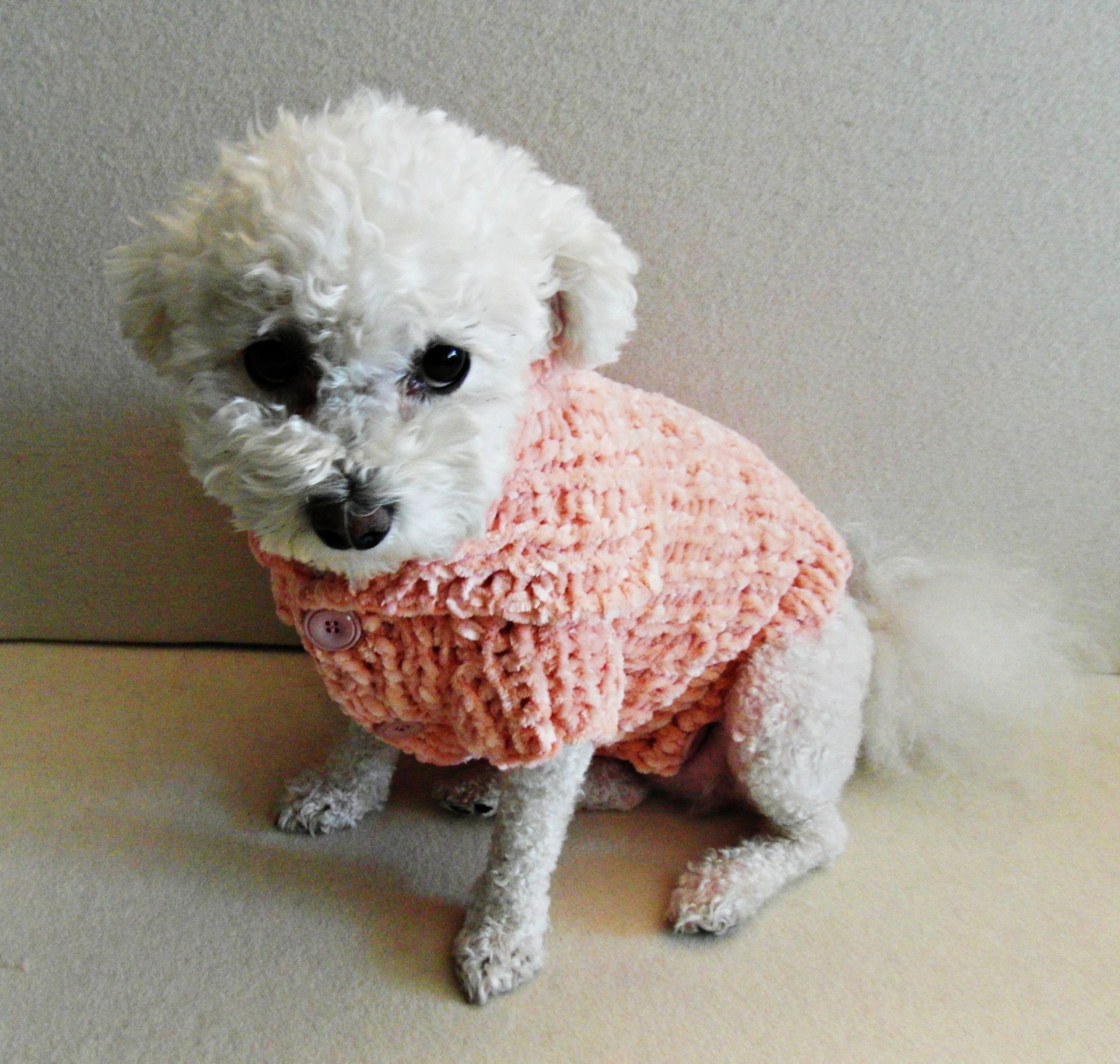 Xxs Dog Sweater Awesome Handmade Dog Sweater Dog Clothes Xxs Pet Clothing Xs Dog