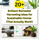 Brilliant Rainwater Harvesting Ideas for Sustainable Homes (That Actually Work!)